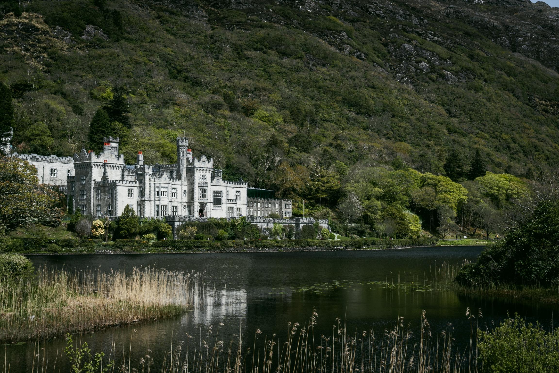 This image for photography