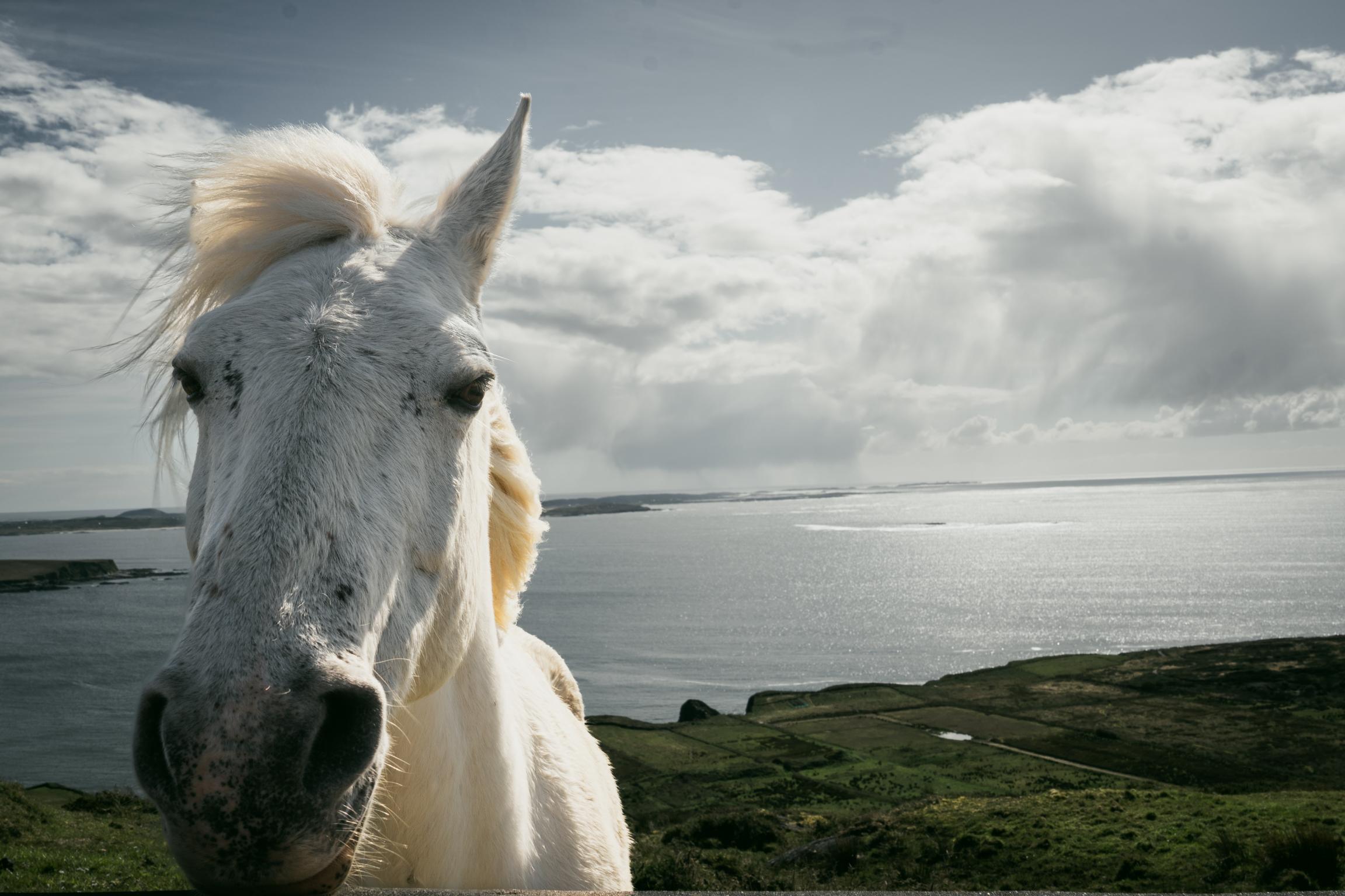 This image for photography