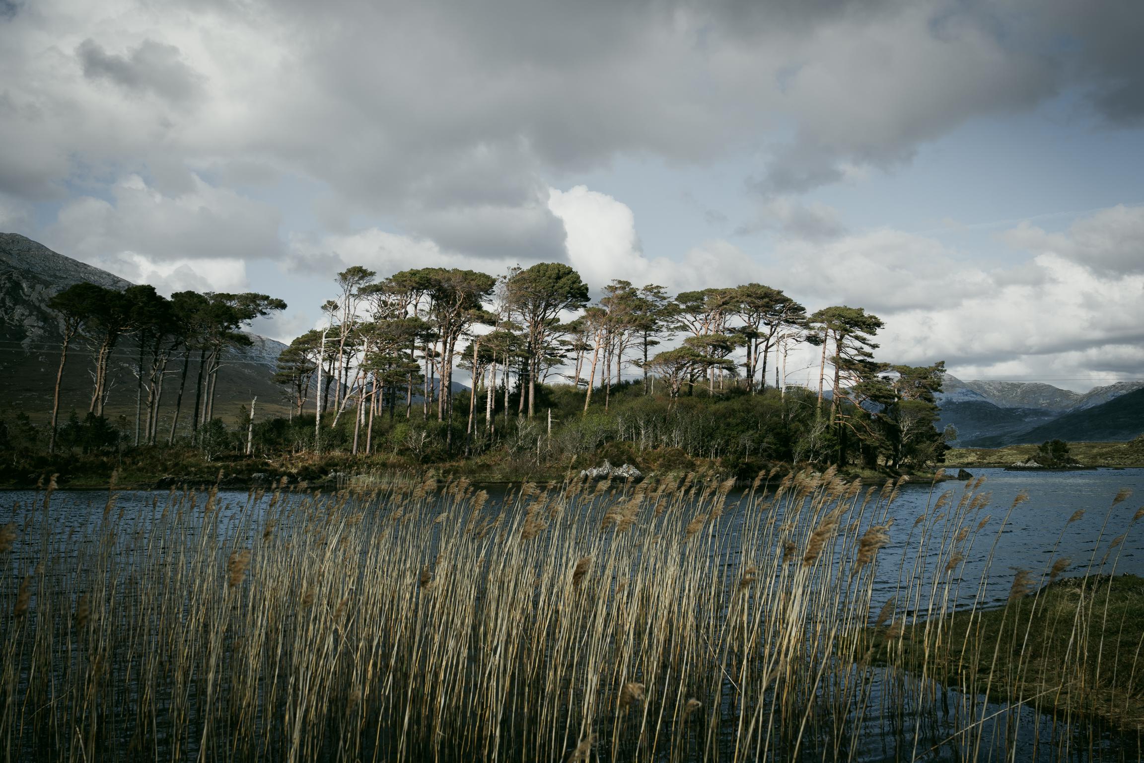 This image for photography