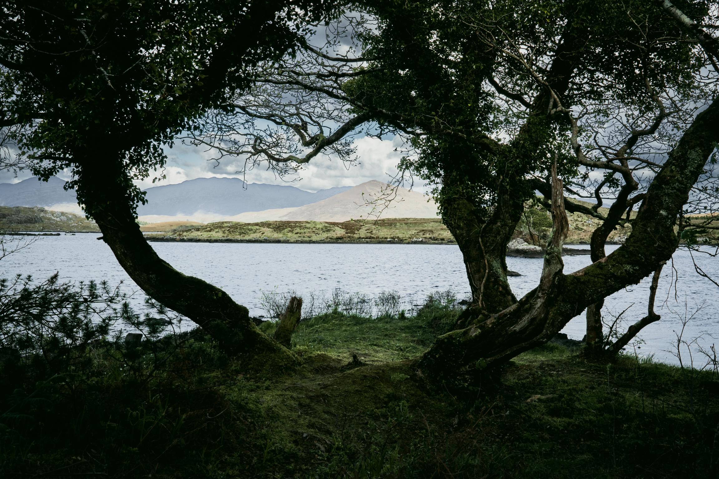 This image for photography