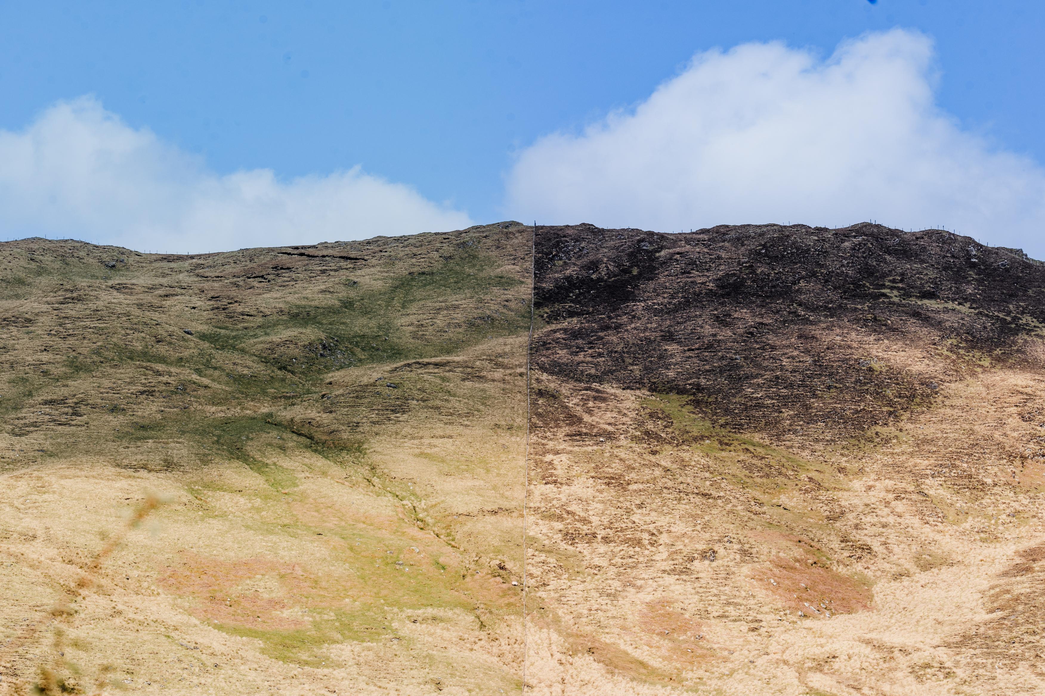 This image for photography