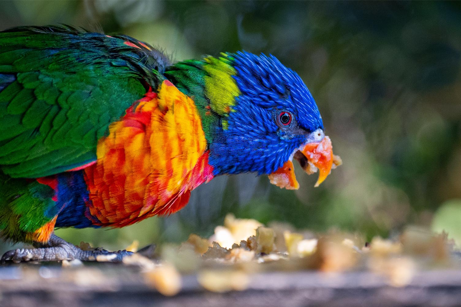 This image for photography