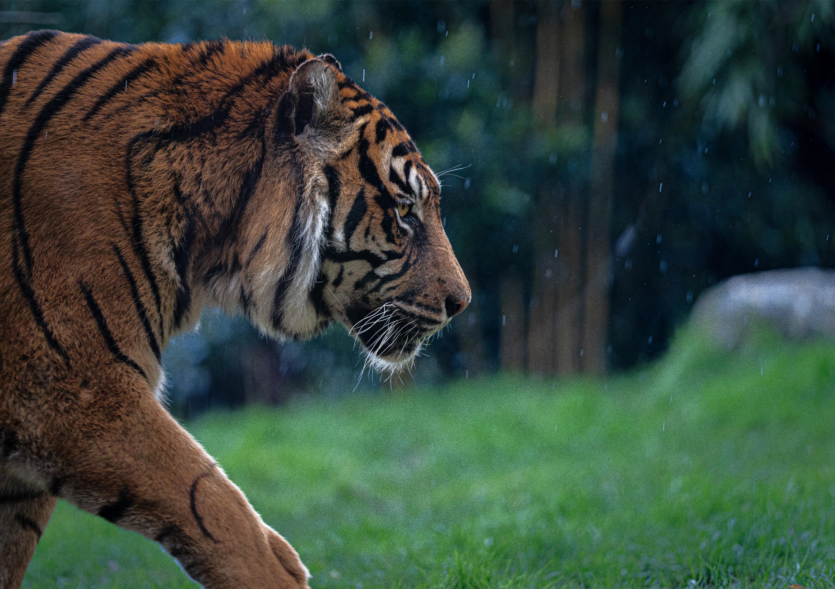 This image for photography