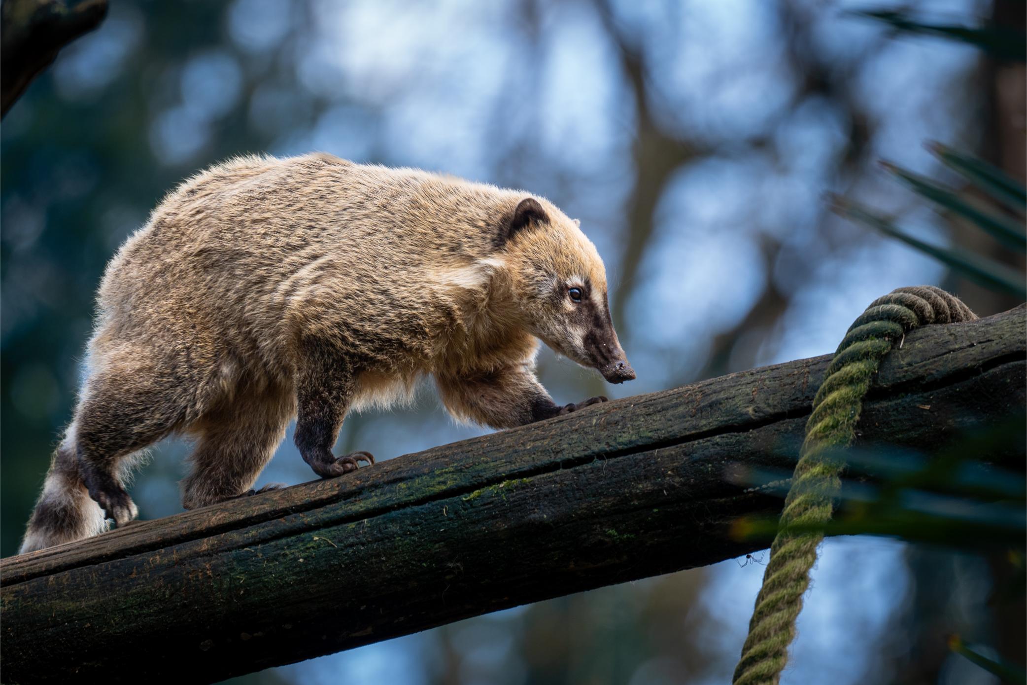 This image for photography