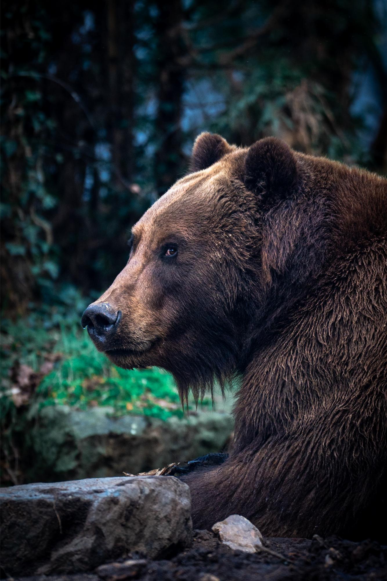 This image for photography