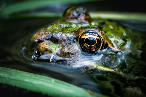 This image for photography